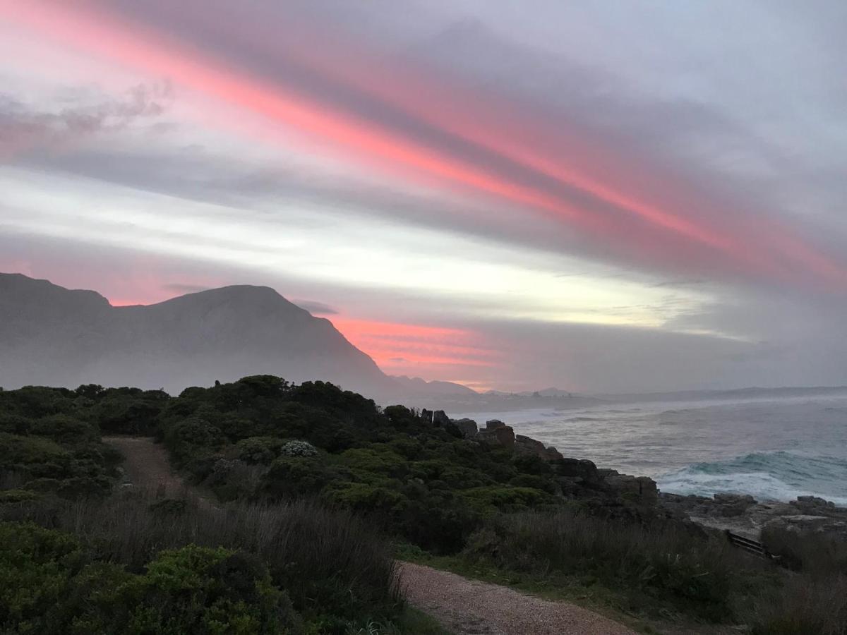 Milkwood Lodge Hermanus Ngoại thất bức ảnh