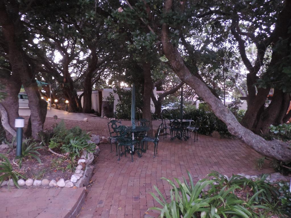 Milkwood Lodge Hermanus Ngoại thất bức ảnh