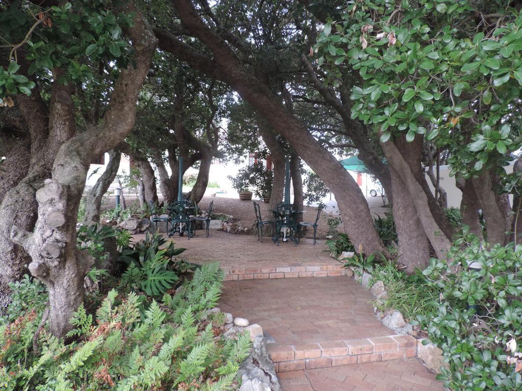 Milkwood Lodge Hermanus Ngoại thất bức ảnh