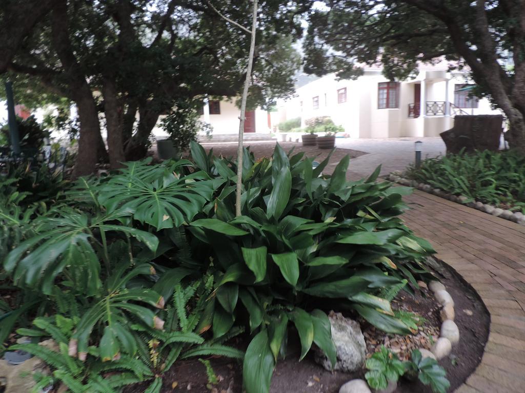 Milkwood Lodge Hermanus Ngoại thất bức ảnh
