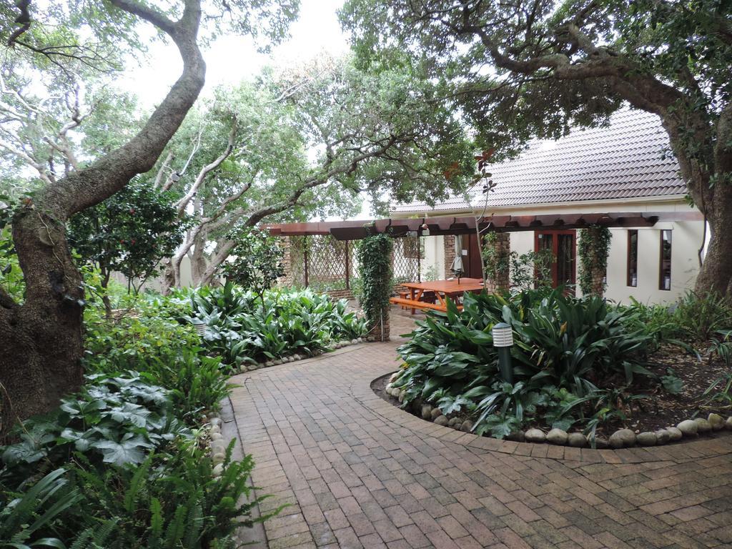 Milkwood Lodge Hermanus Ngoại thất bức ảnh