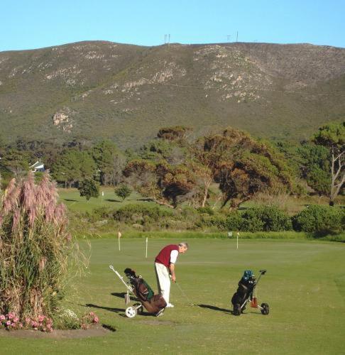 Milkwood Lodge Hermanus Ngoại thất bức ảnh